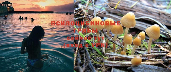 бутират Нея
