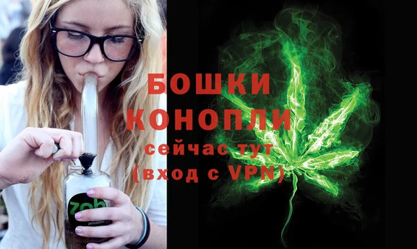 ПСИЛОЦИБИНОВЫЕ ГРИБЫ Нефтегорск