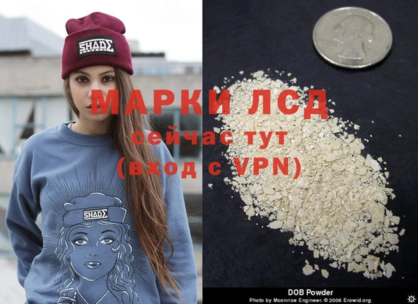 ПСИЛОЦИБИНОВЫЕ ГРИБЫ Нефтегорск