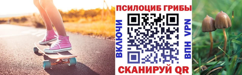 Галлюциногенные грибы Psilocybe  Купить закладки  Салаир 